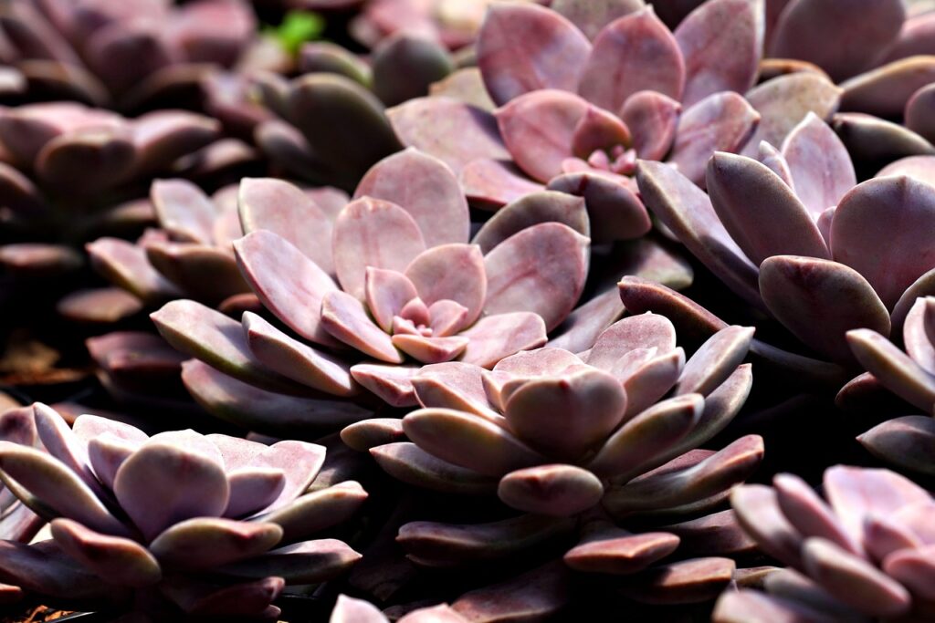 学生向けのスノボバスツアー3日間プランはどんな内容ですか？