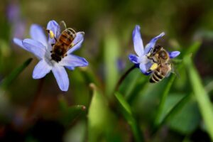 韓国アイドル肌を手に入れるために花粉による肌荒れを防ぐ方法は？
