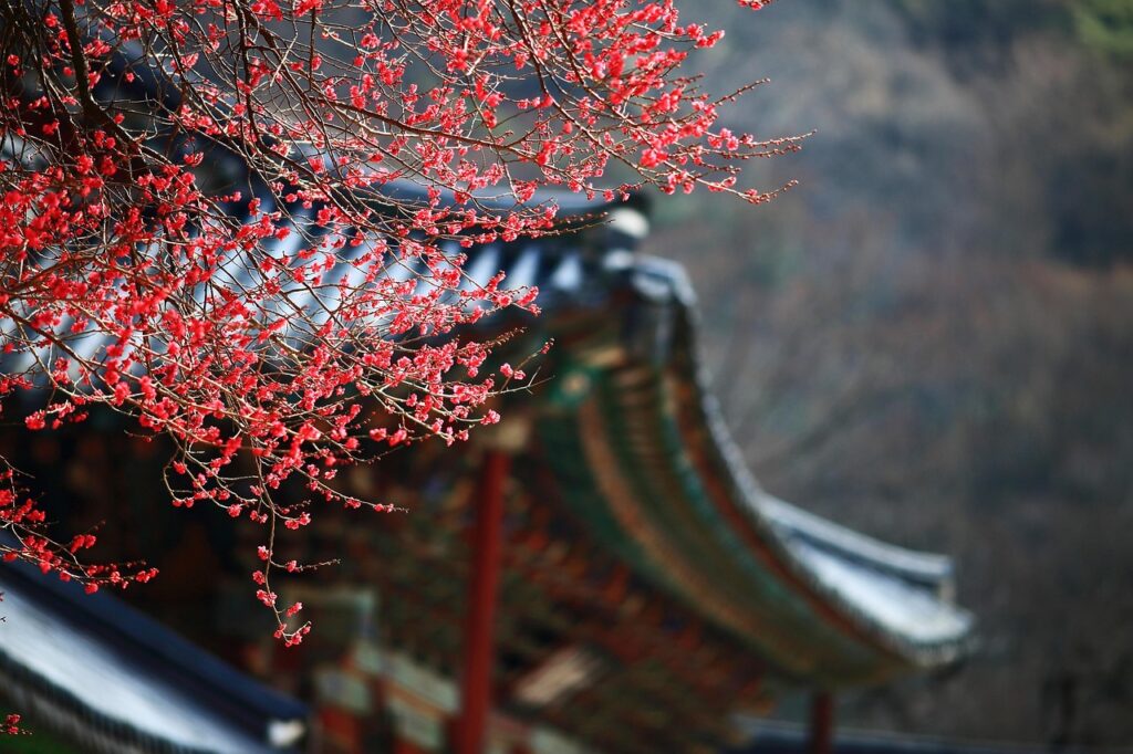 韓国アイドル肌を目指すファンデの休む日ケア方法は？