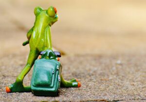 スノボ旅行の料金はどれくらいかかる？
